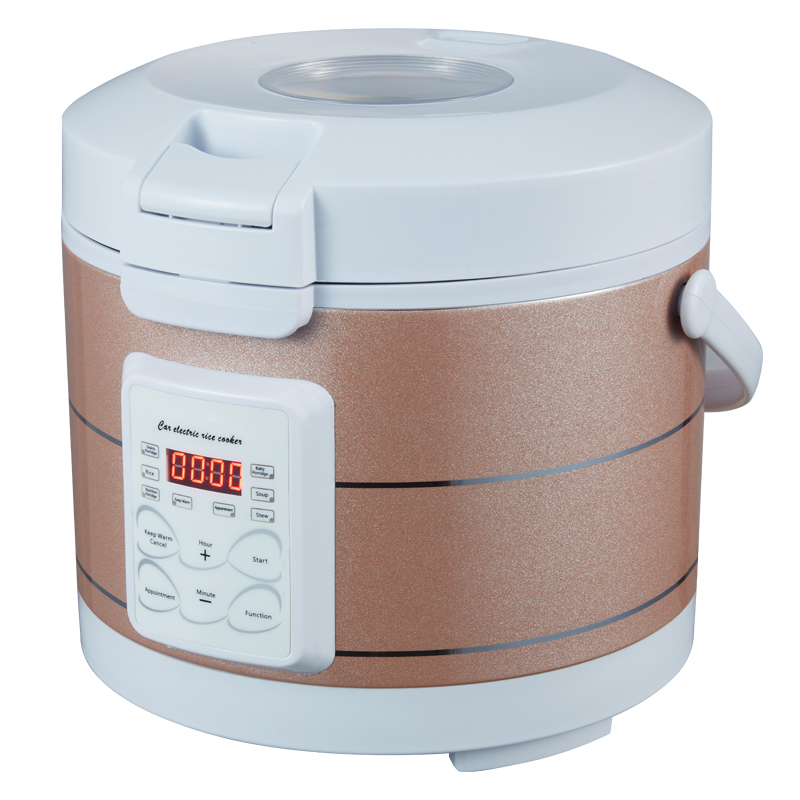 Rmier 12V 24V 220V Mini Rice C – обзор и цена Camping No Cooking Meals