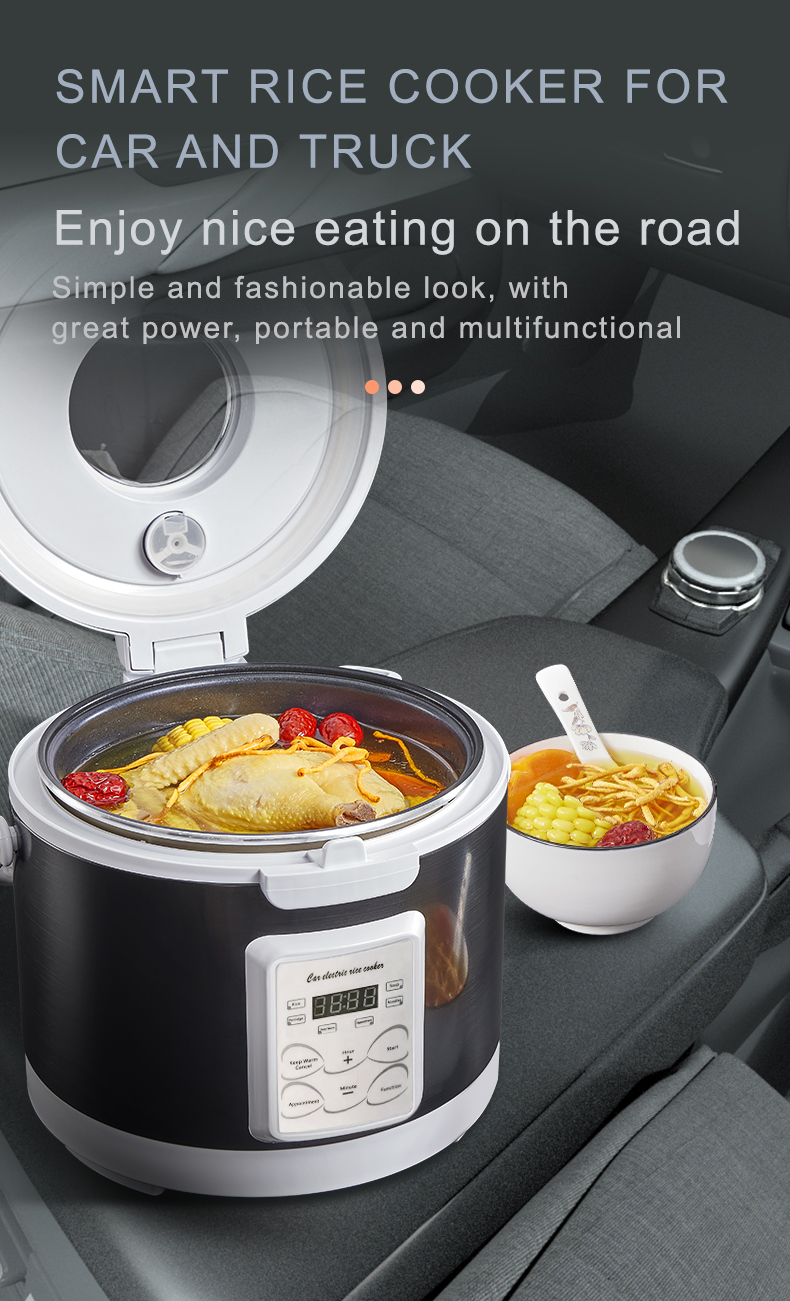 Rmier 12V 24V 220V Mini Rice C – обзор и цена Camping No Cooking Meals