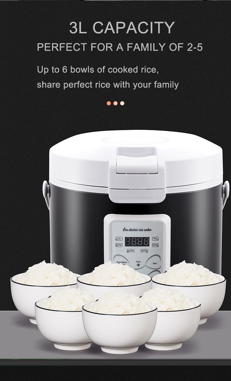 Rmier 12V 24V 220V Mini Rice C – обзор и цена Camping No Cooking Meals