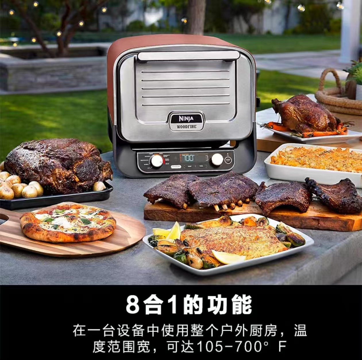 2026 Outdoor Pizza Oven for El – обзор и цена Camping Cooking Grill